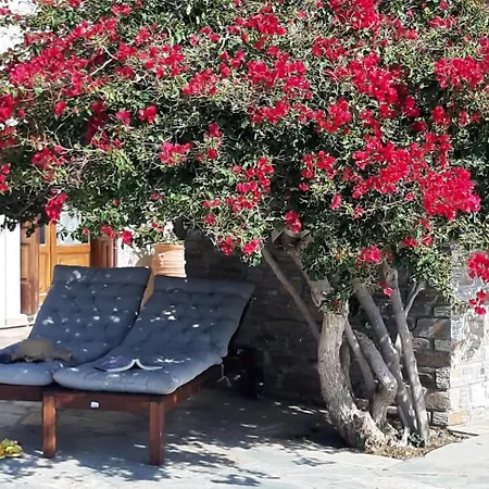 别墅 Andros Private Overlooking The Blue Aegean Sea 开普利